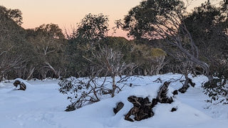 How to Adapt to an Australian Winter with Ayurveda - OmAyur Wellness