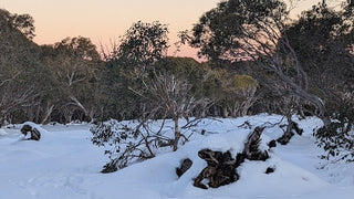 How to Adapt to an Australian Winter with Ayurveda - OmAyur Wellness