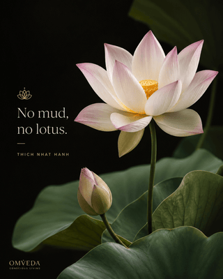 Sacred Lotus in Skincare: Traditional Beauty from One of Nature's Most Revered Plants - OmAyur Wellness