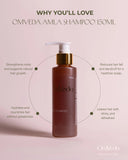 OmVeda_Amla_Shampoo_Ayurvedic_Shampoo_Key_Benefits